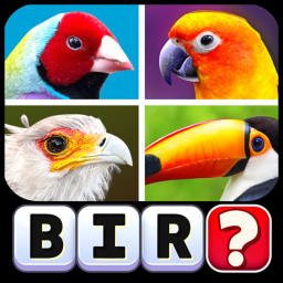 Pics Word Game